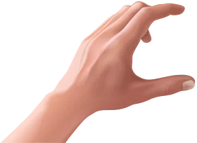 Realistic Human Hand Gesture Clipart with Soft Skin Texture and Elegant Curve