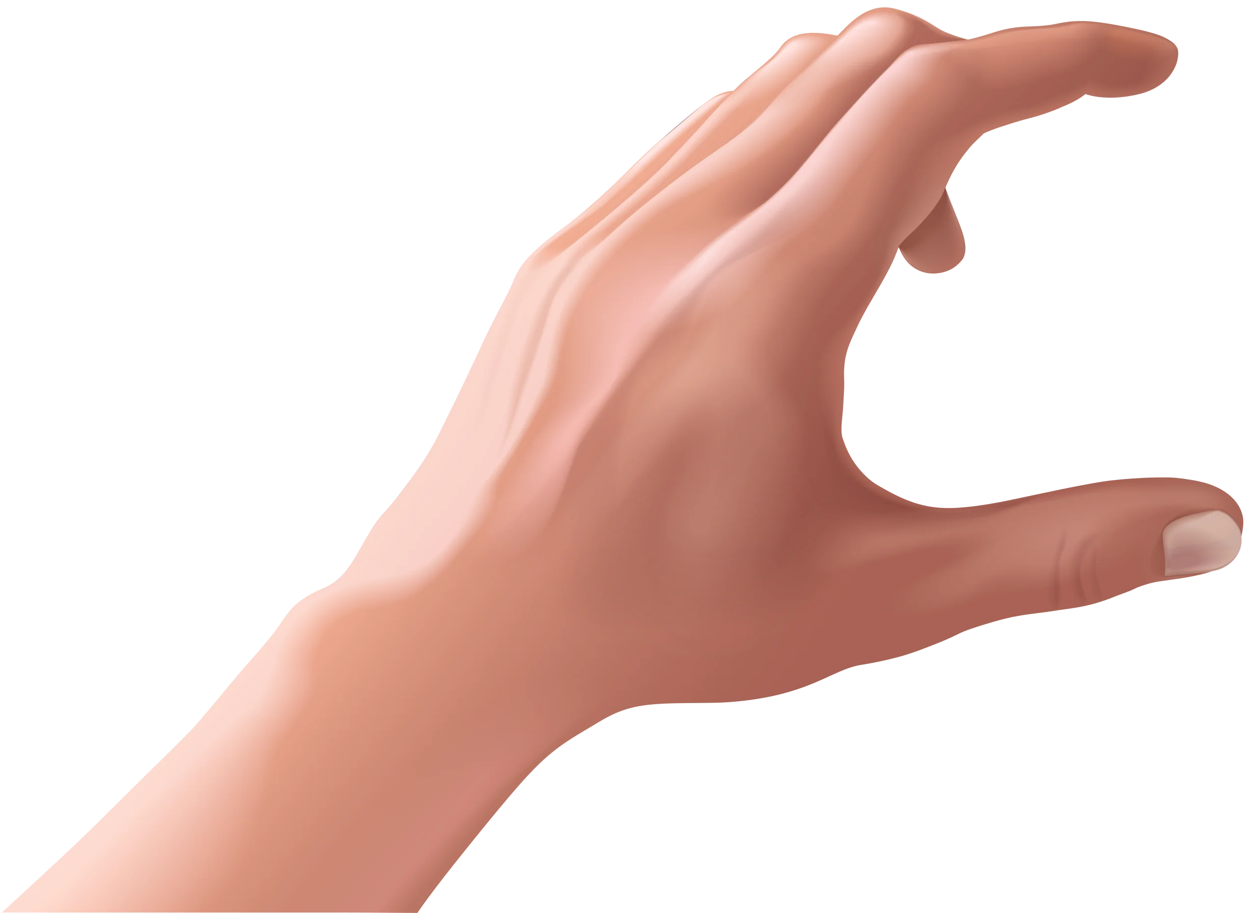 Realistic Human Hand Gesture Clipart with Soft Skin Texture and Elegant Curve