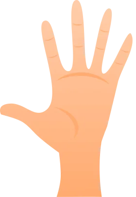 Realistic Human Hand Open Palm Gesture Minimalist Clipart Illustration