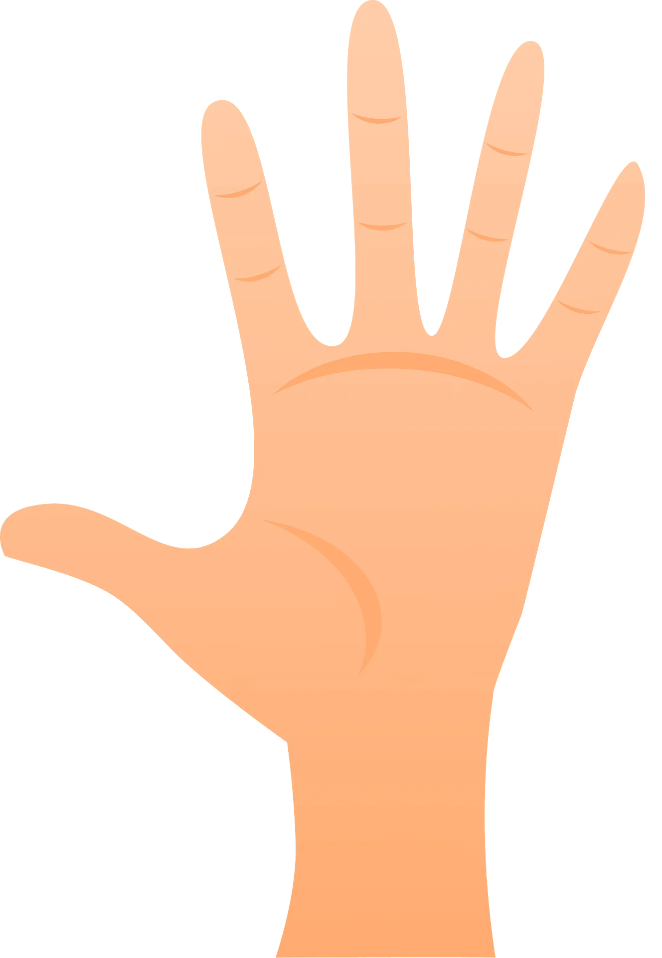 Realistic Human Hand Open Palm Gesture Minimalist Clipart Illustration