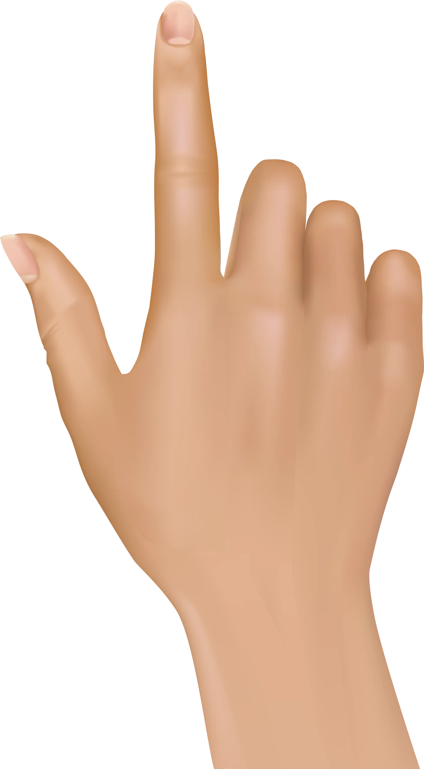 Realistic Human Hand Pointing Finger Neutral Skin Tone Clipart Illustration