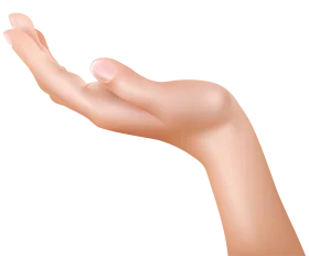 Realistic Open Palm Hand Gesture Clipart with Soft Skin Texture and Elegant Curve