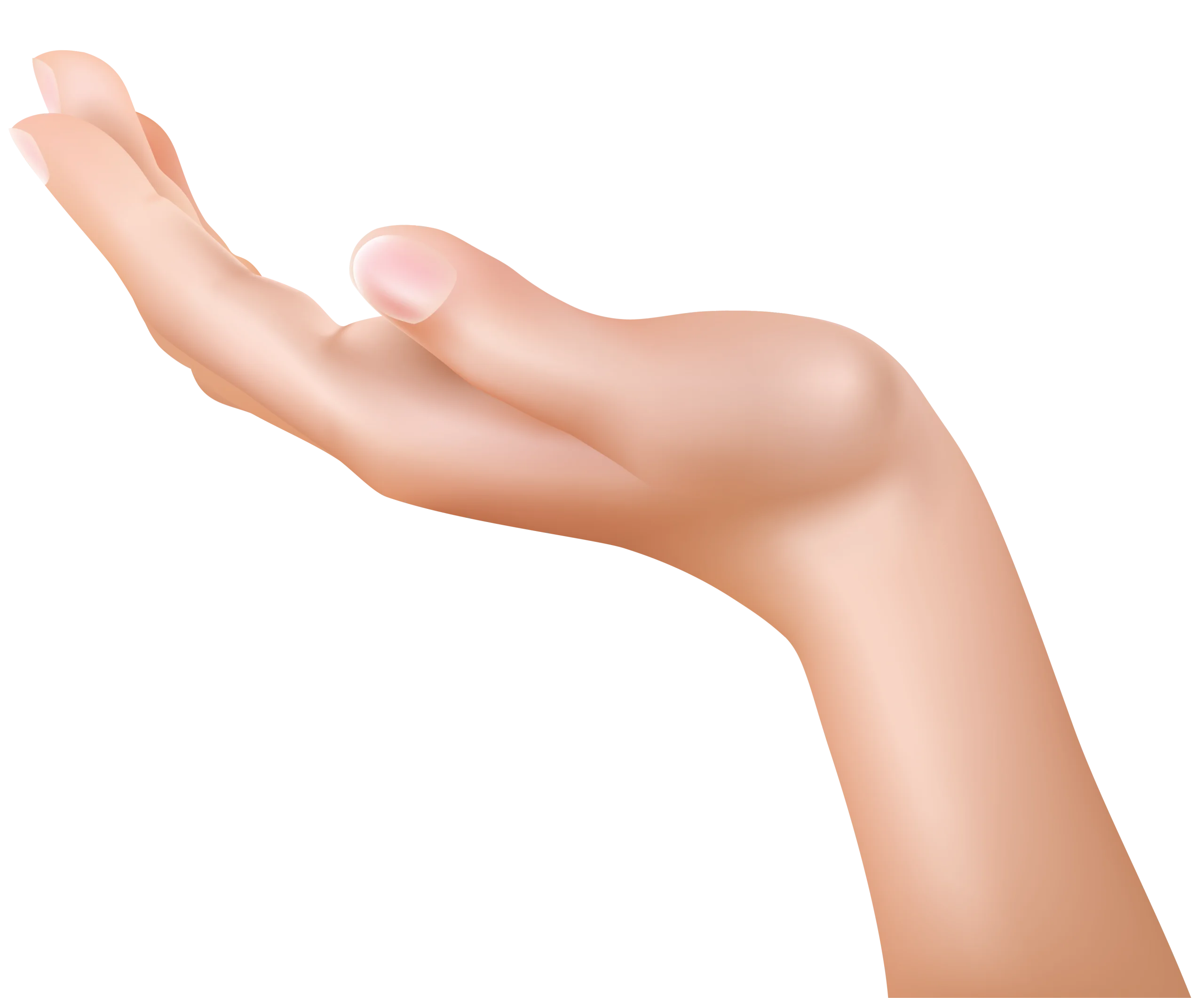 Realistic Open Palm Hand Gesture Clipart with Soft Skin Texture and Elegant Curve