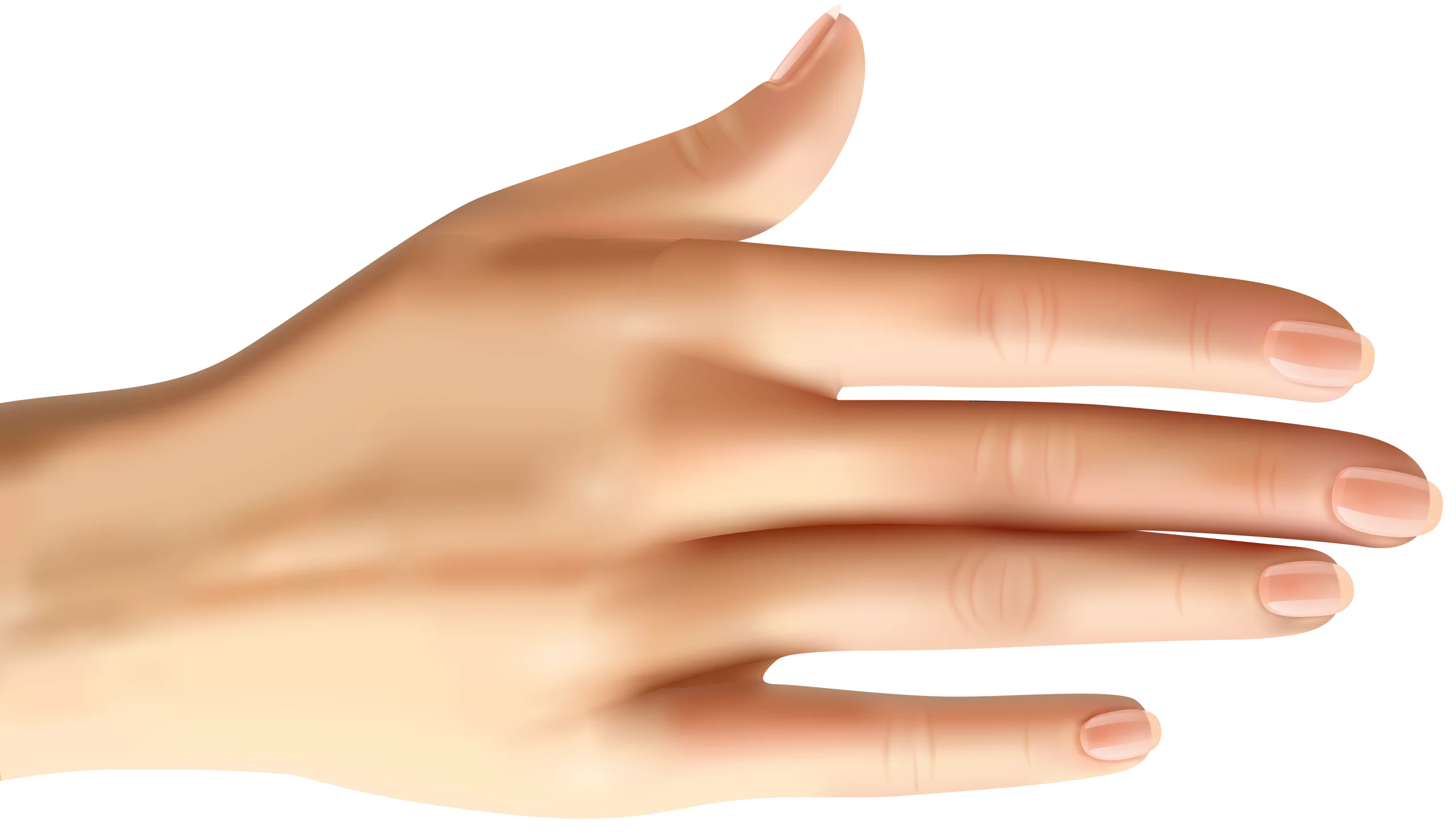 Realistic Pale Skin Human Hand Clipart with Soft Natural Contours and Delicate Fingers