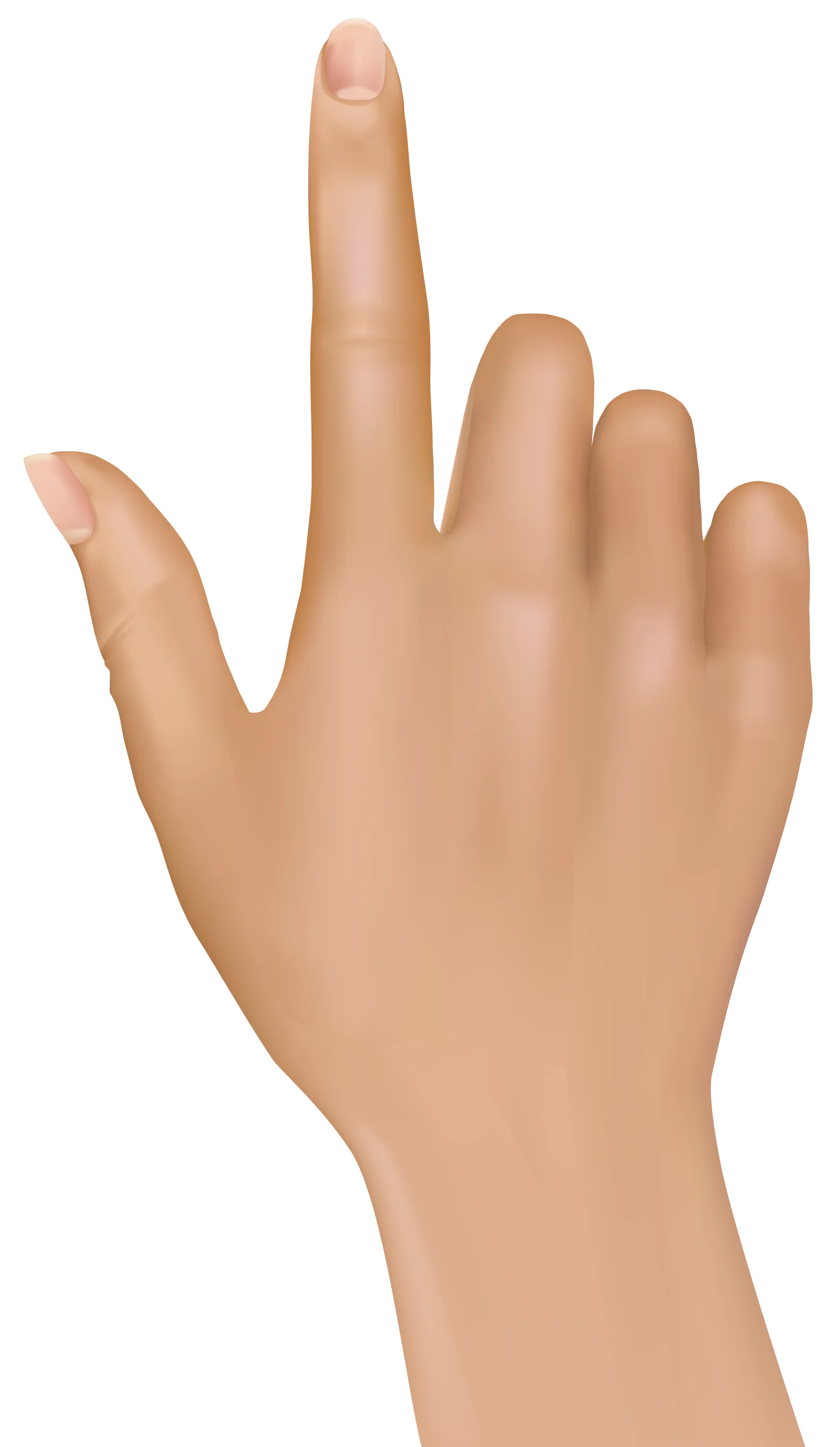 Realistic Skin-Toned Hand Gesture Clipart with Pointing Finger on Clean Background