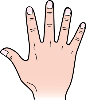 Simple Human Hand Open Palm Five Fingers Cartoon Clipart Illustration