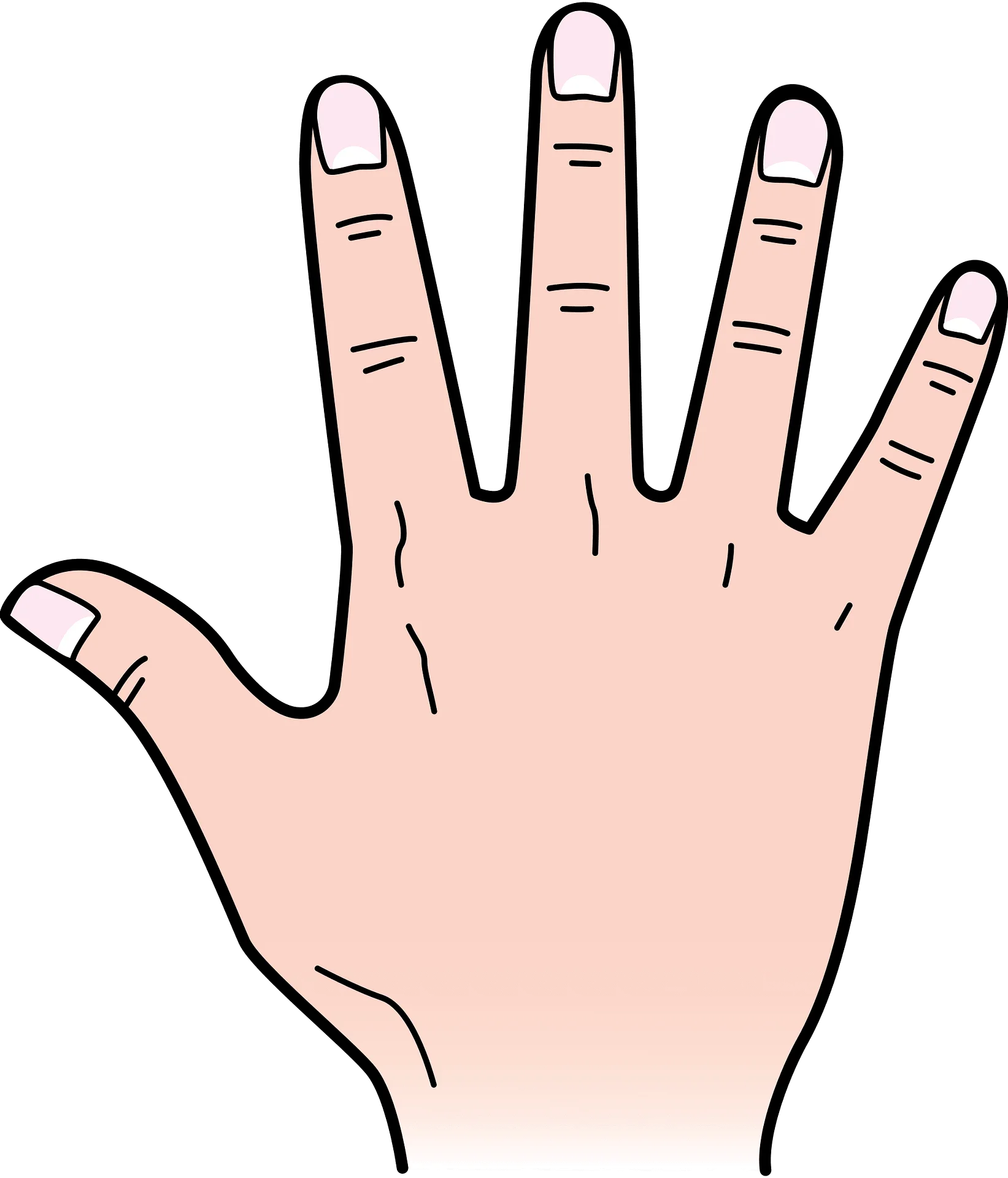 Simple Human Hand Open Palm Five Fingers Cartoon Clipart Illustration