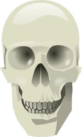 Minimalist Monochromatic Human Skull Clipart with Smooth Geometric Design