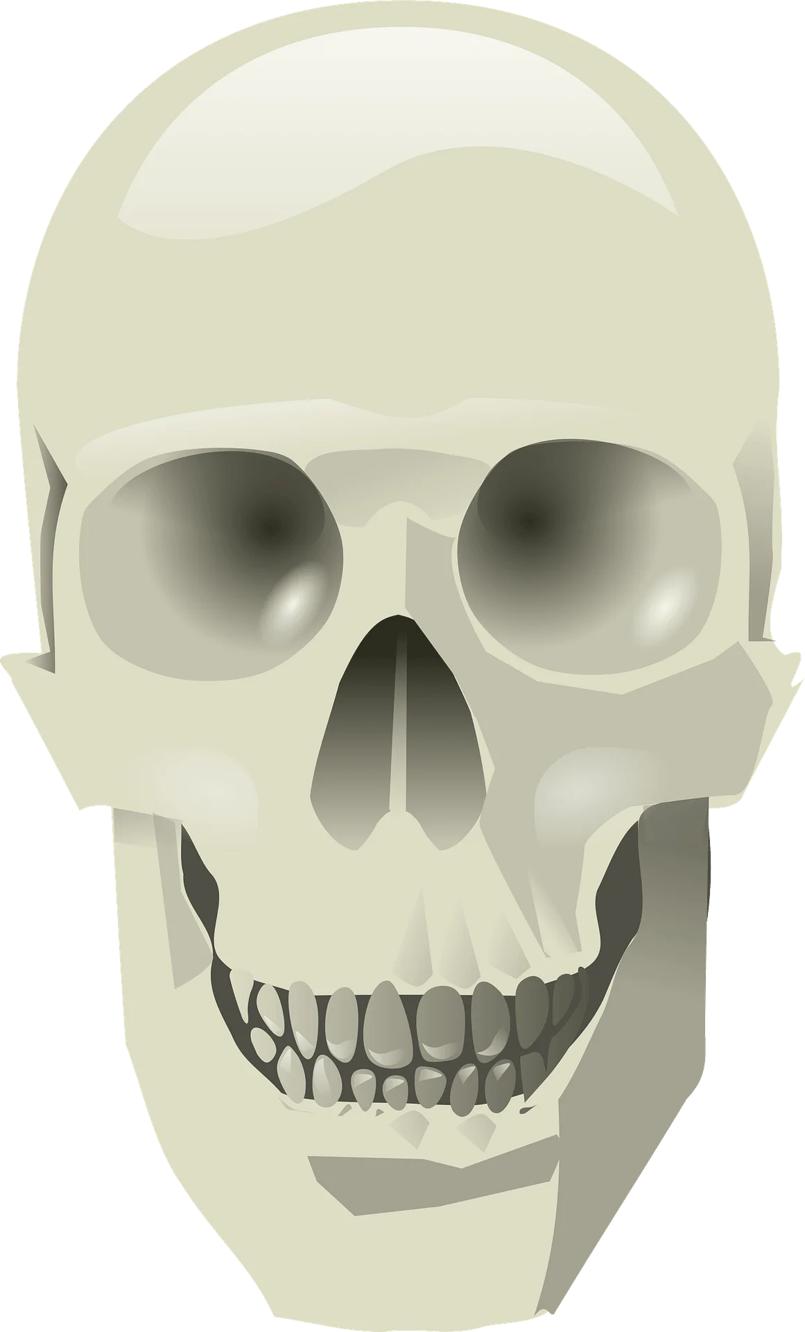 Minimalist Monochromatic Human Skull Clipart with Smooth Geometric Design
