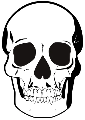 Monochromatic Skeletal Anatomy Skull Clipart - Minimalist Graphic Design