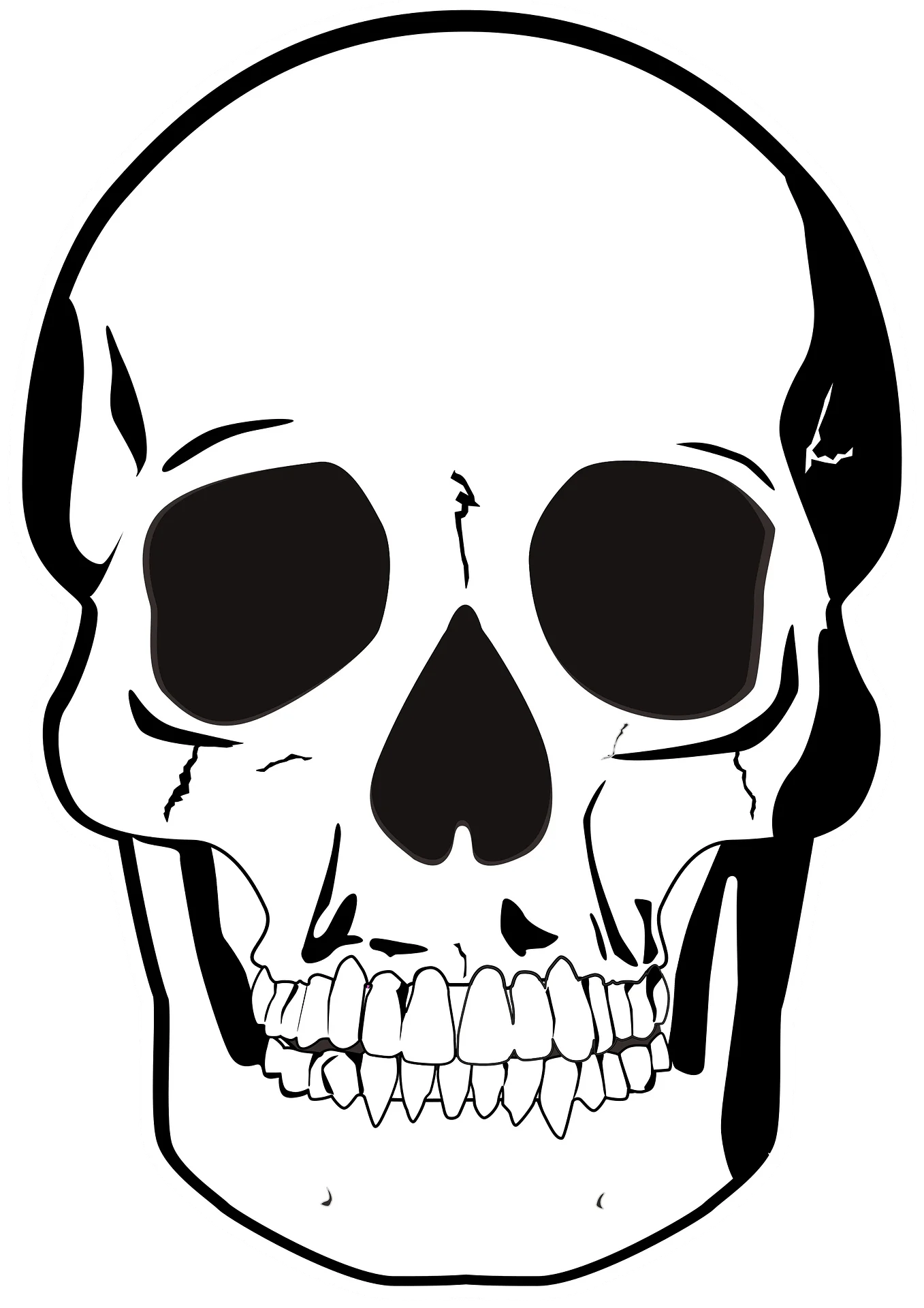 Monochromatic Skeletal Anatomy Skull Clipart - Minimalist Graphic Design
