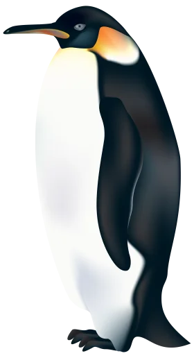 Majestic Emperor Penguin Clipart: Elegant Arctic Wildlife Illustration