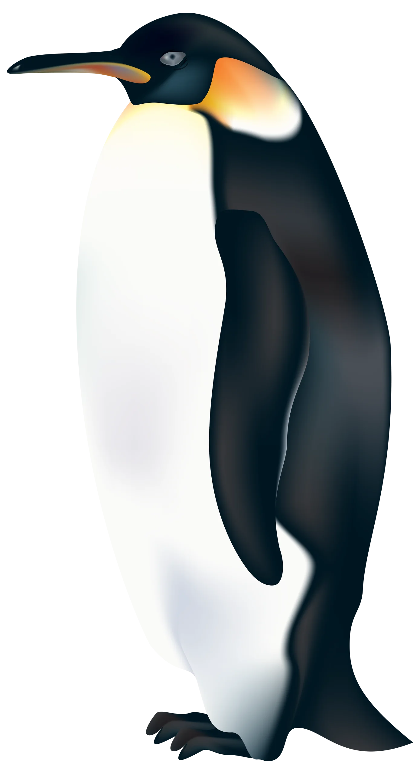 Majestic Emperor Penguin Clipart: Elegant Arctic Wildlife Illustration