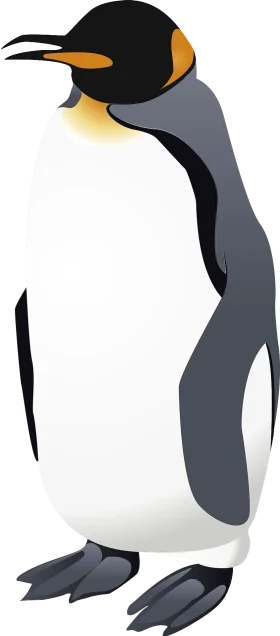 Majestic King Penguin Clipart: Elegant Antarctic Wildlife Vector Illustration