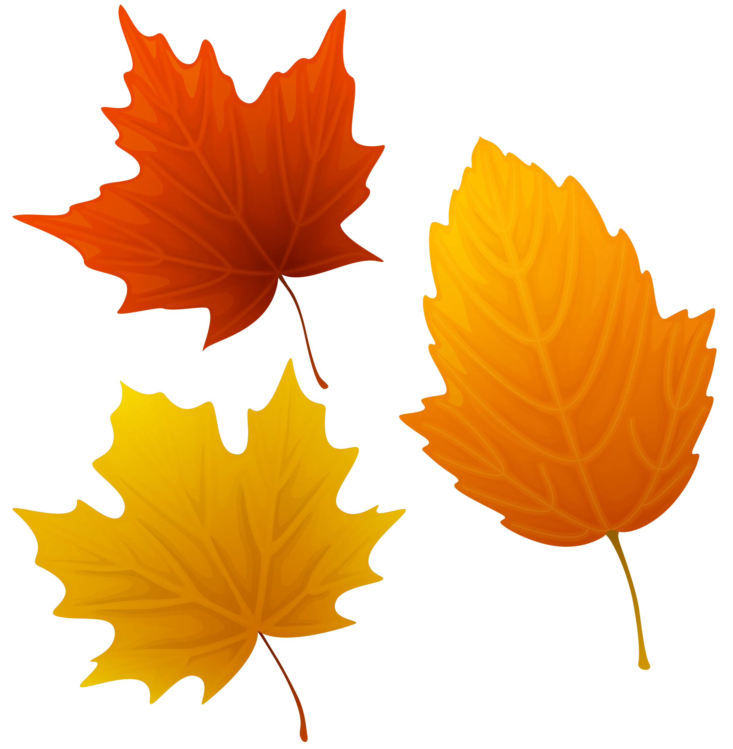 Charming Autumn Maple Leaves Seasonal Clipart Collection in Warm Hues