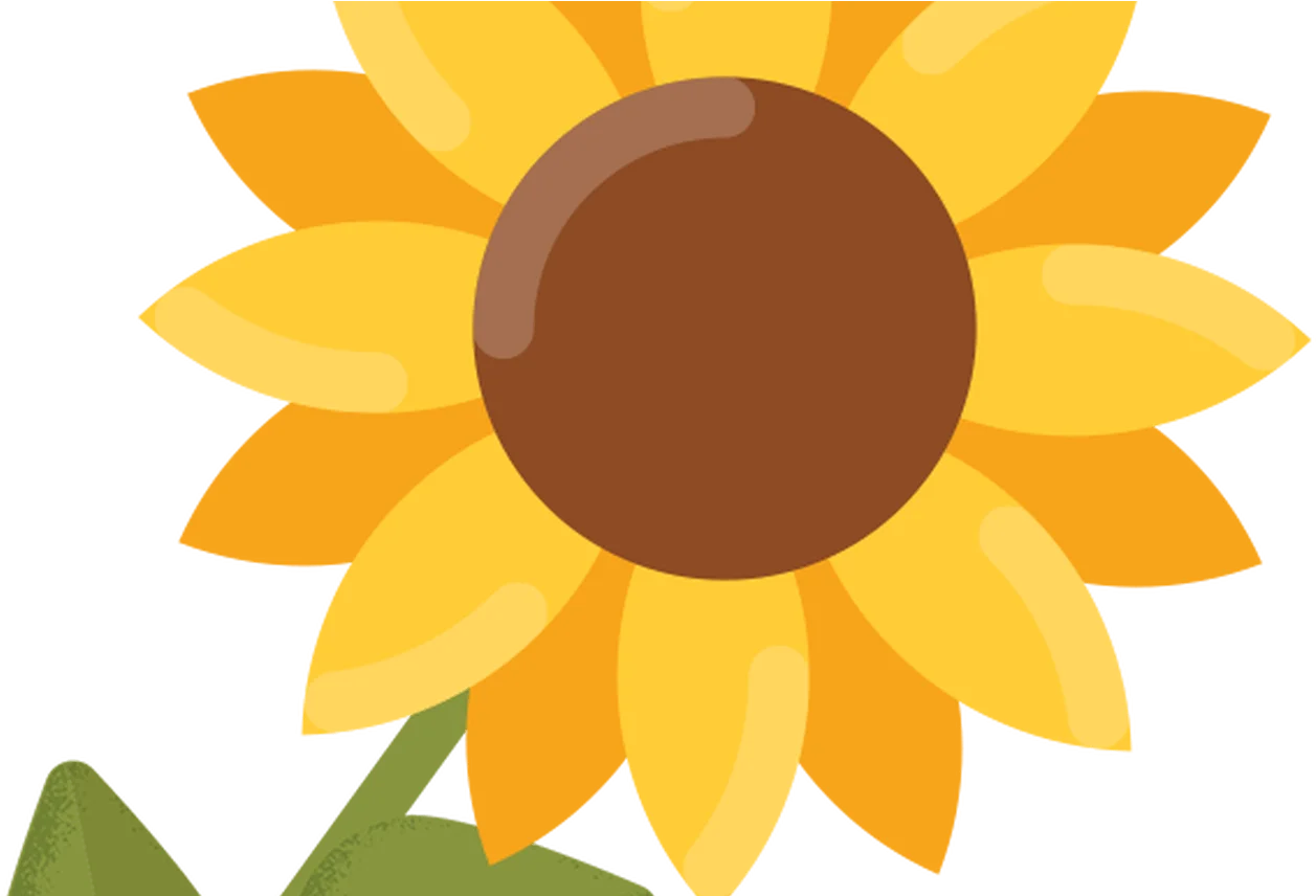 Charming Sunflower Clipart: A Radiant Bloom of Sunshine and Simplicity