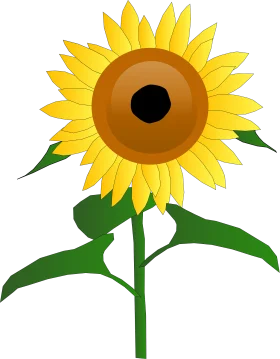 Cheerful Sunflower Clipart Illustration with Radiant Petals and Bold Center