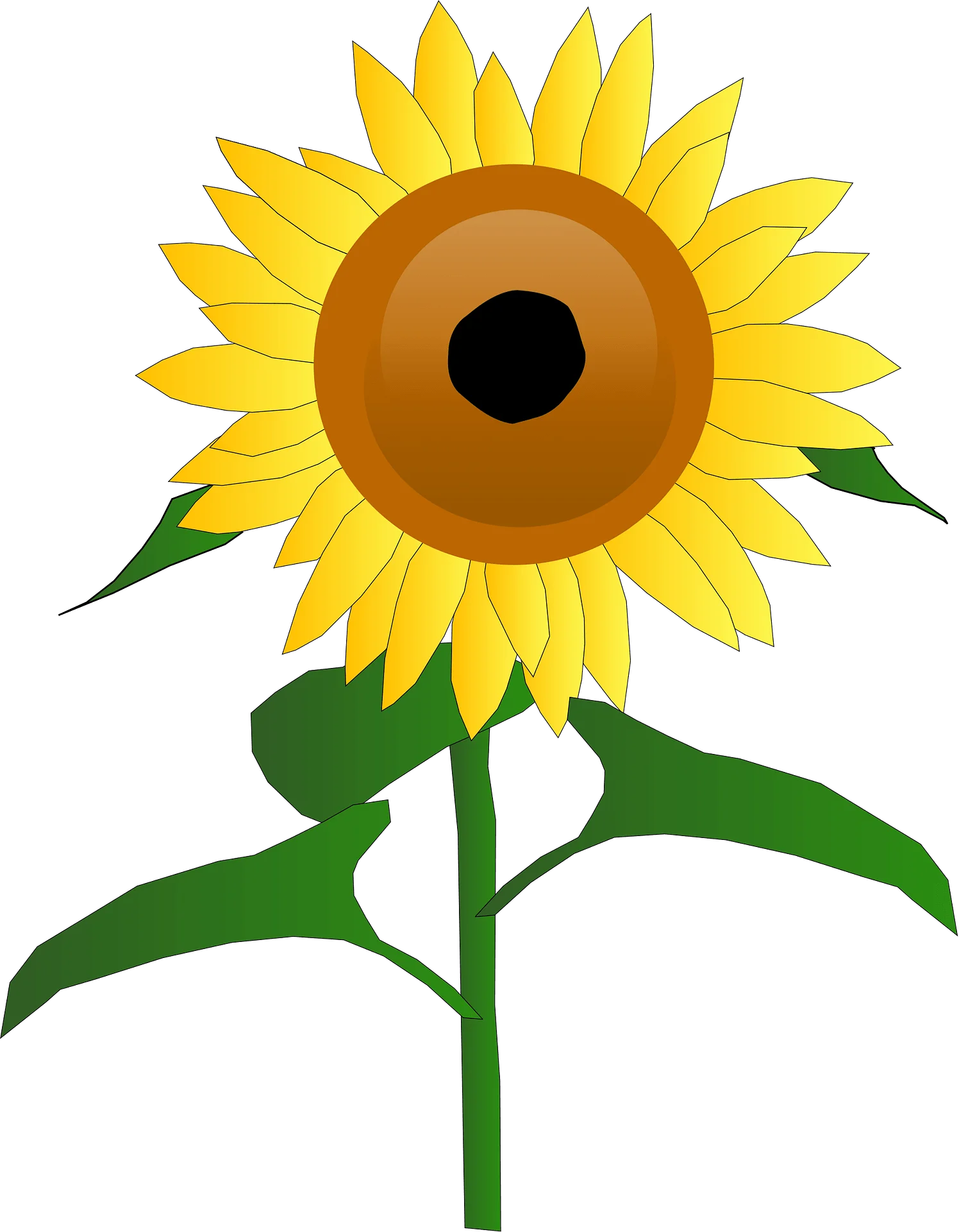 Cheerful Sunflower Clipart Illustration with Radiant Petals and Bold Center
