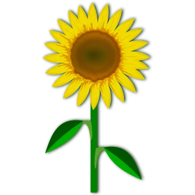 Cheerful Sunflower Clipart with Bright Yellow Petals and Green Stem