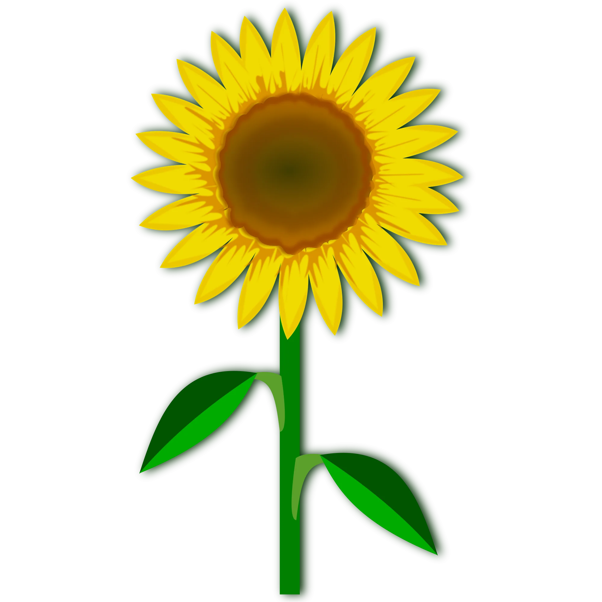 Cheerful Sunflower Clipart with Bright Yellow Petals and Green Stem