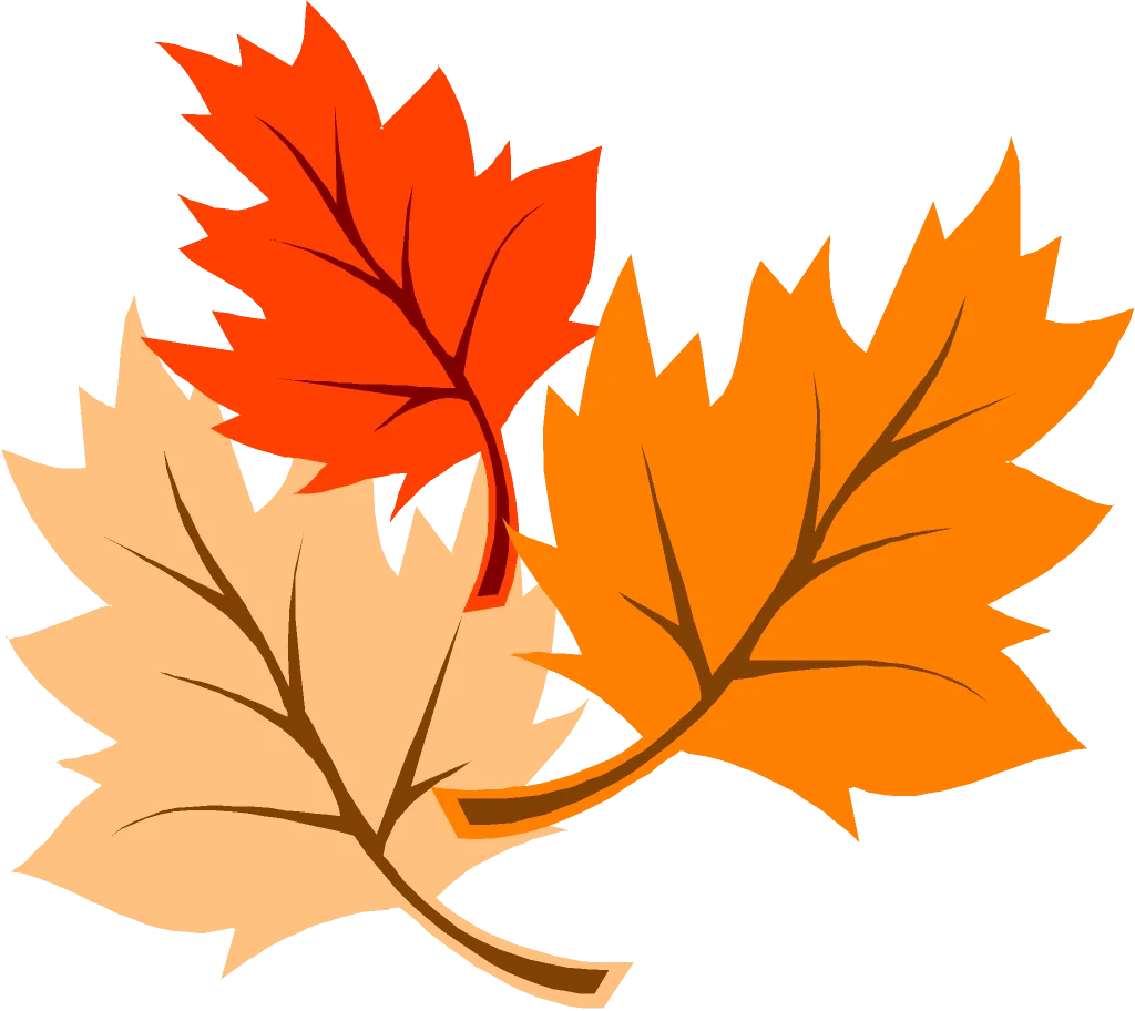 Elegantly Layered Autumn Maple Leaves Seasonal Clipart Design
