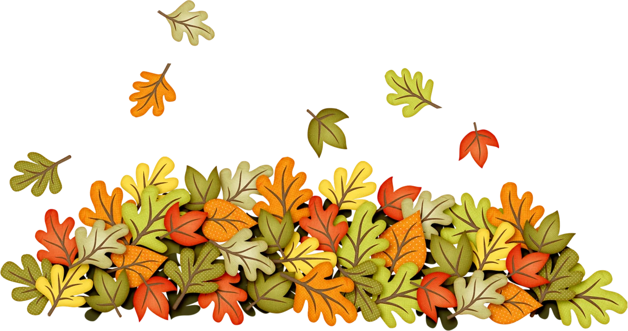 Enchanting Autumn Leaves Clipart: A Warm Cascade of Seasonal Woodland Splendor