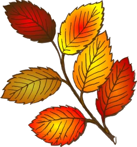 Enchanting Autumn Leaves Clipart: A Warm Symphony of Seasonal Color Transitions
