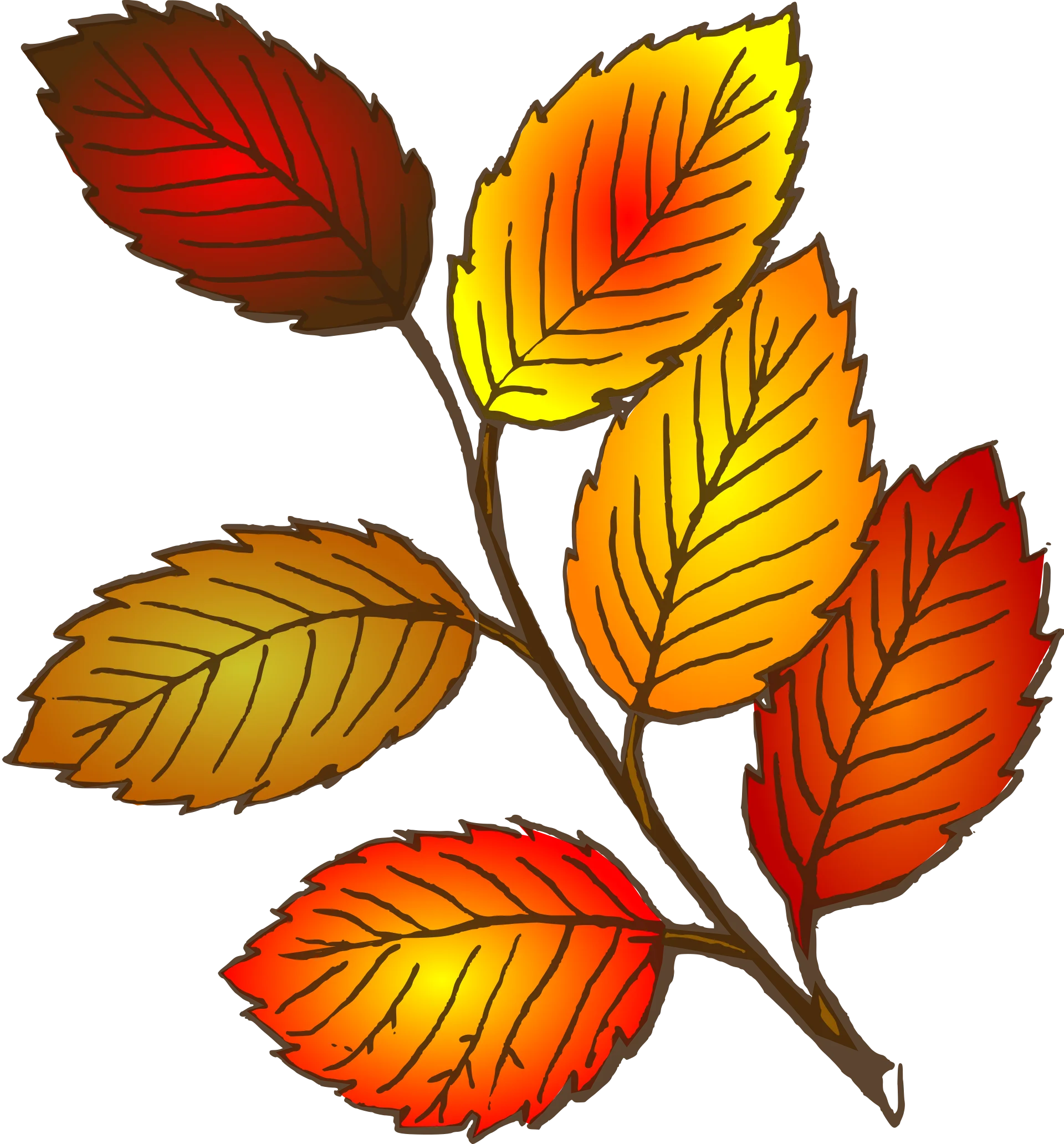 Enchanting Autumn Leaves Clipart: A Warm Symphony of Seasonal Color Transitions