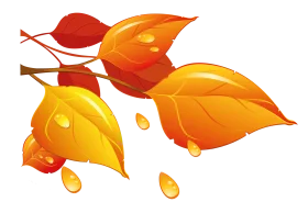 Enchanting Autumn Leaves Clipart: Falling Golden Foliage with Droplets of Warmth