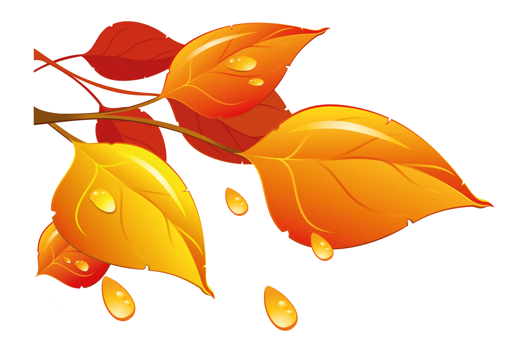 Enchanting Autumn Leaves Clipart: Falling Golden Foliage with Droplets of Warmth
