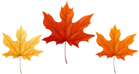 Enchanting Autumn Maple Leaf Clipart Collection - Warm Seasonal Illustration