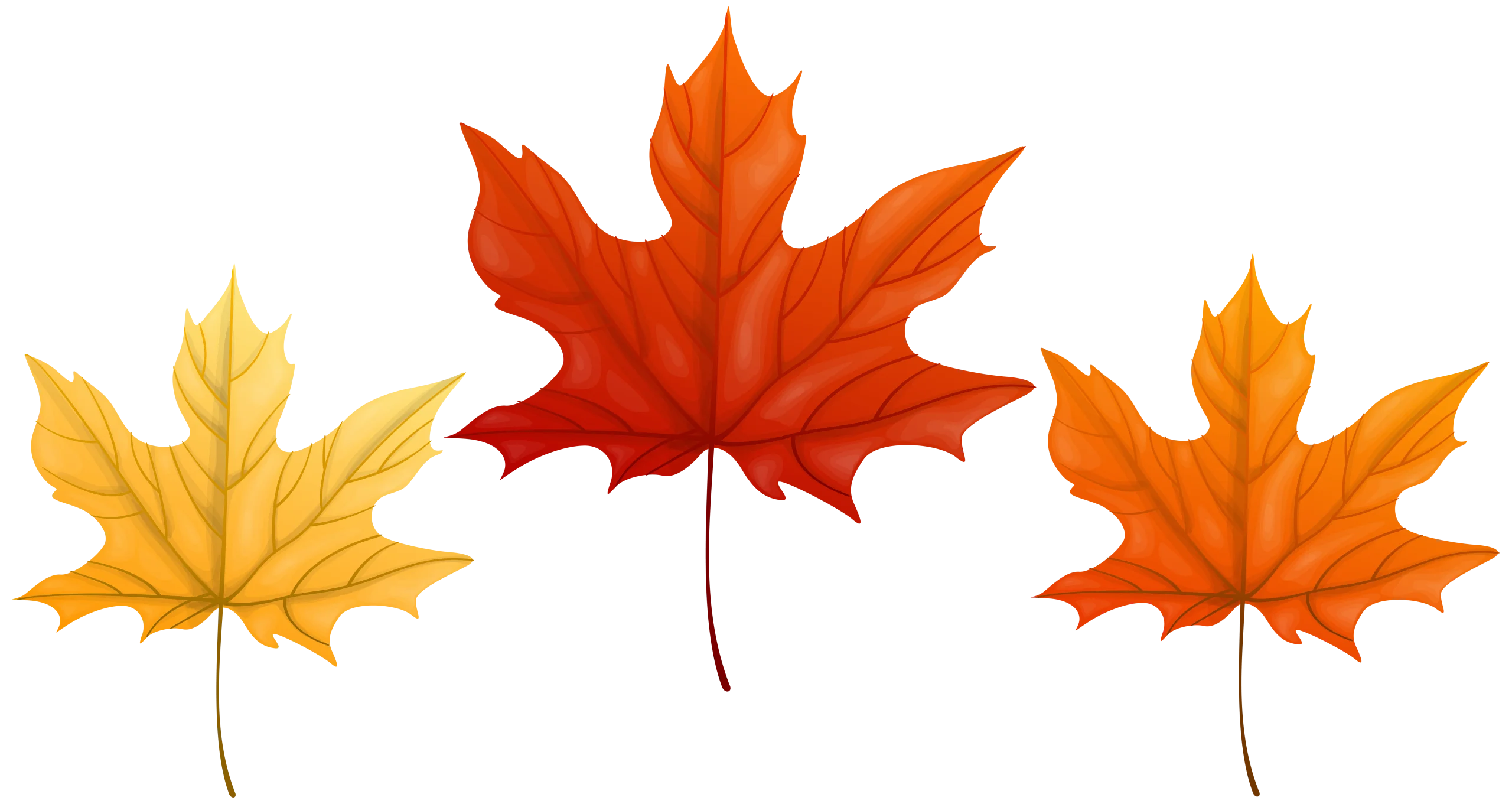 Enchanting Autumn Maple Leaf Clipart Collection - Warm Seasonal Illustration