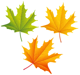 Enchanting Autumn Maple Leaves Clipart Collection - Seasonal Fall Foliage Design