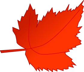 Fiery Crimson Maple Leaf Autumn Clipart: Nature's Seasonal Transition