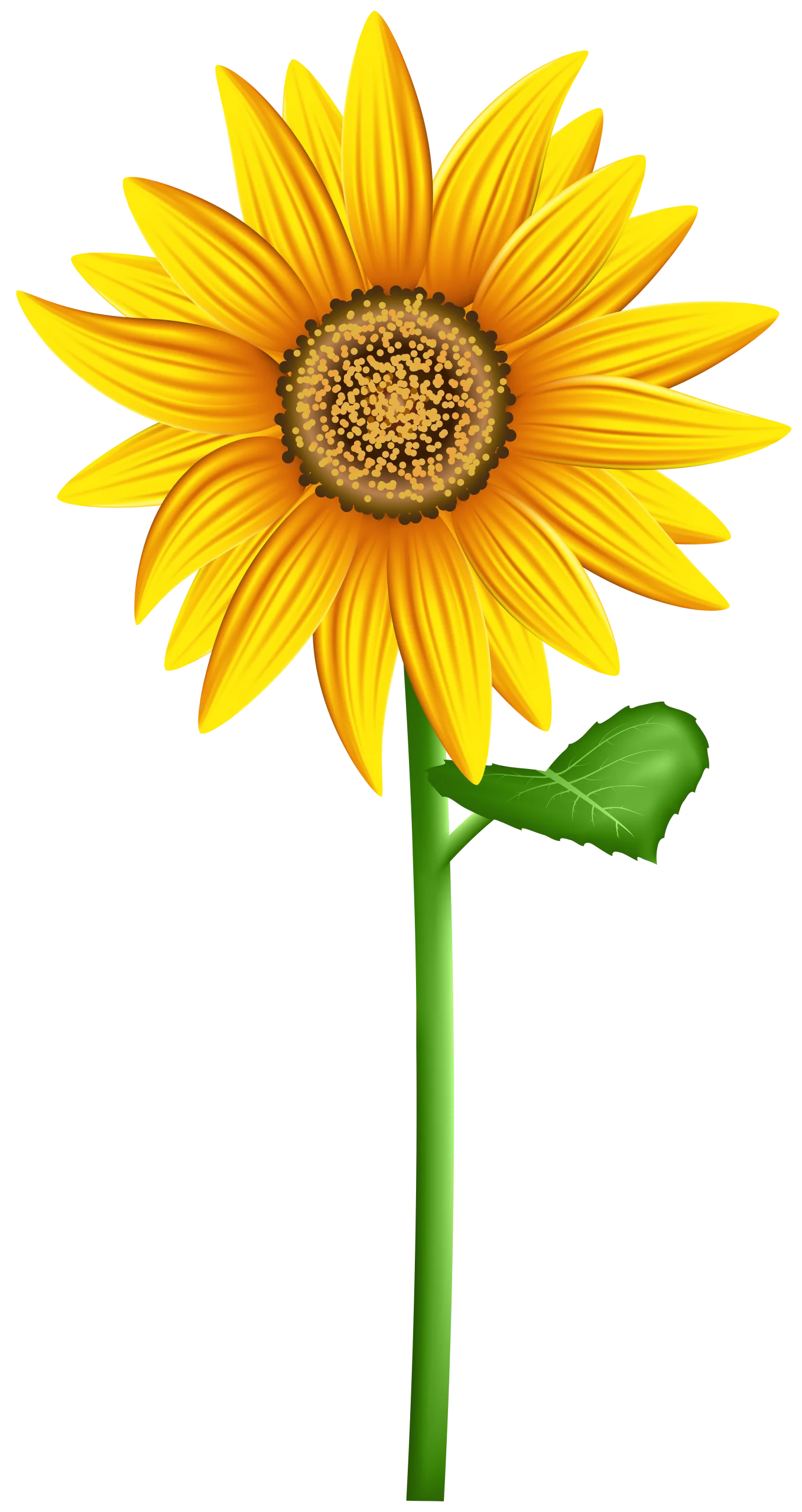 Radiant Golden Sunflower Clipart: A Cheerful Botanical Illustration
