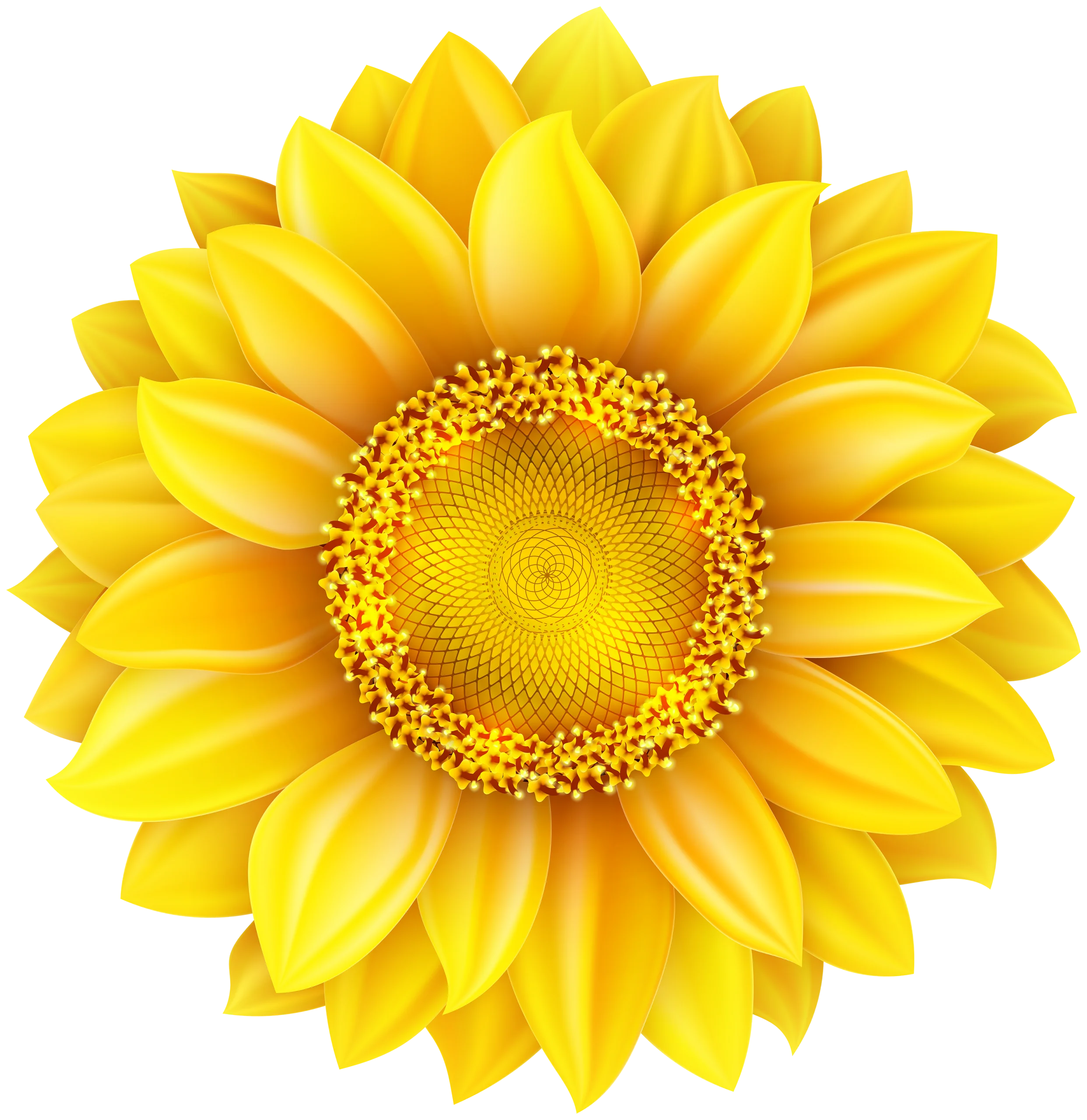 Radiant Golden Sunflower Clipart - Symmetrical Floral Digital Illustration