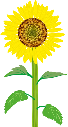 Radiant Yellow Sunflower Clipart Design with Lush Green Stem and Leaves