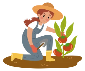 Cheerful Farmer Tending Tomato Plant Clipart Illustration with Warm Colors