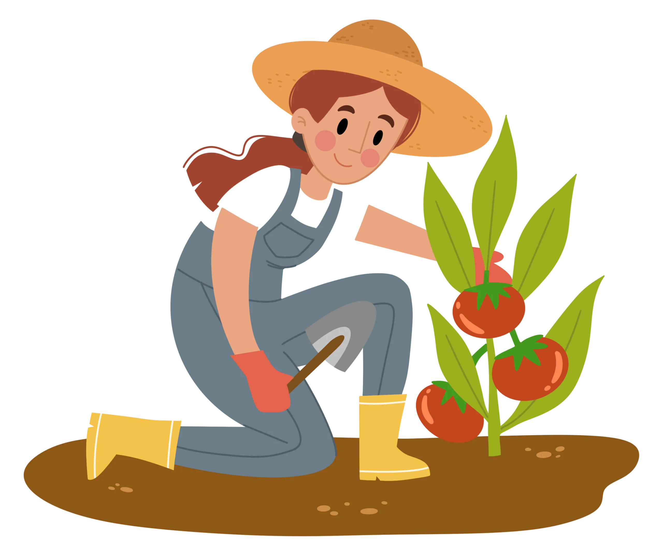 Cheerful Farmer Tending Tomato Plant Clipart Illustration with Warm Colors