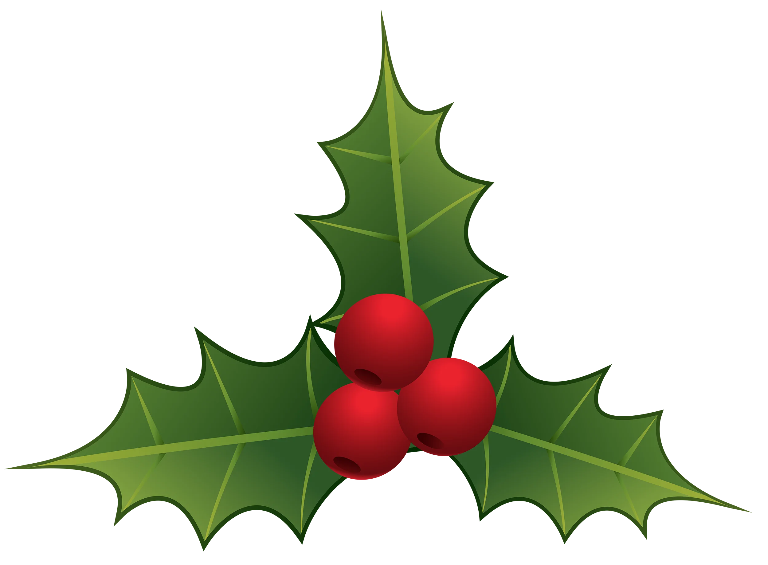 Classic Christmas Holly and Berries Festive Holiday Clipart Design Element