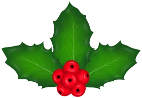 Classic Christmas Holly and Berries Festive Holiday Clipart Design Element