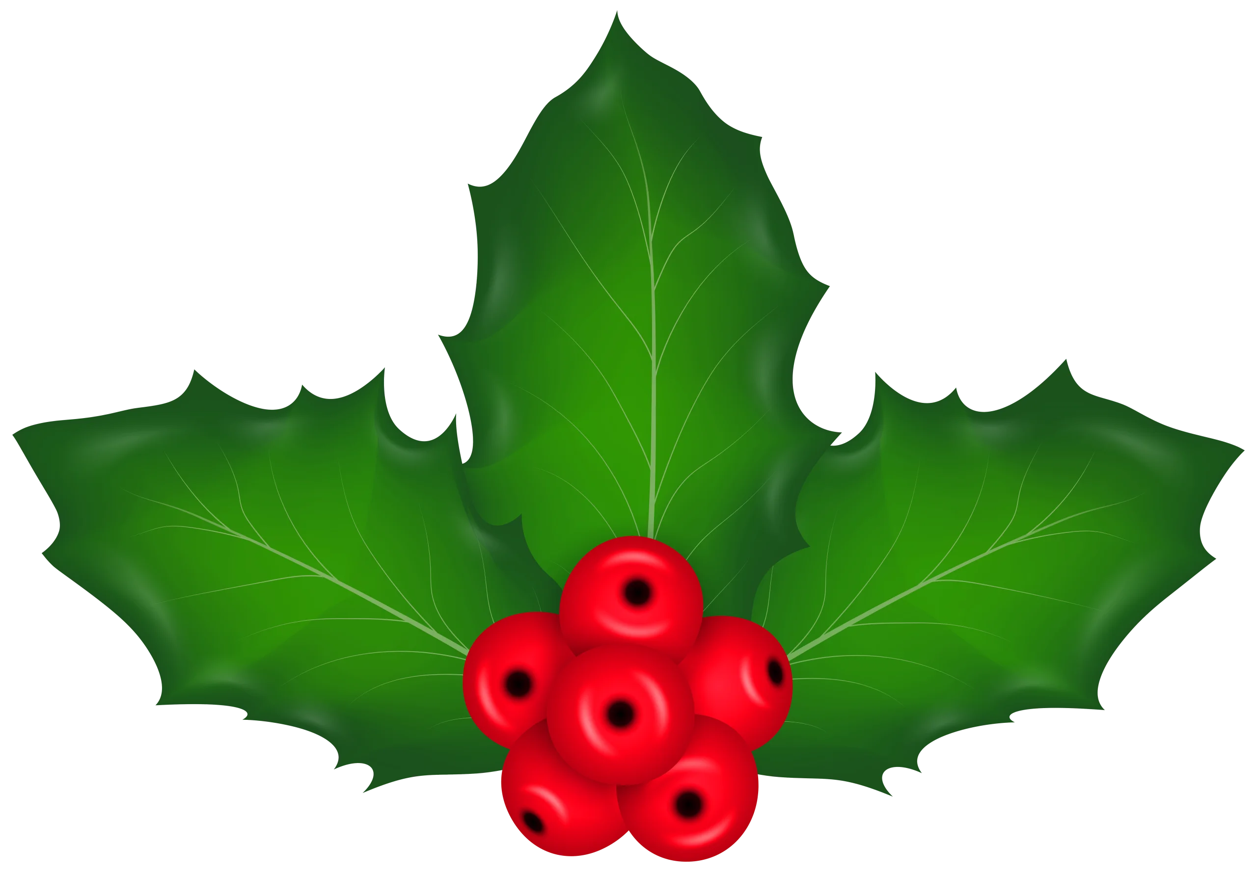 Classic Christmas Holly and Berries Festive Holiday Clipart Design Element