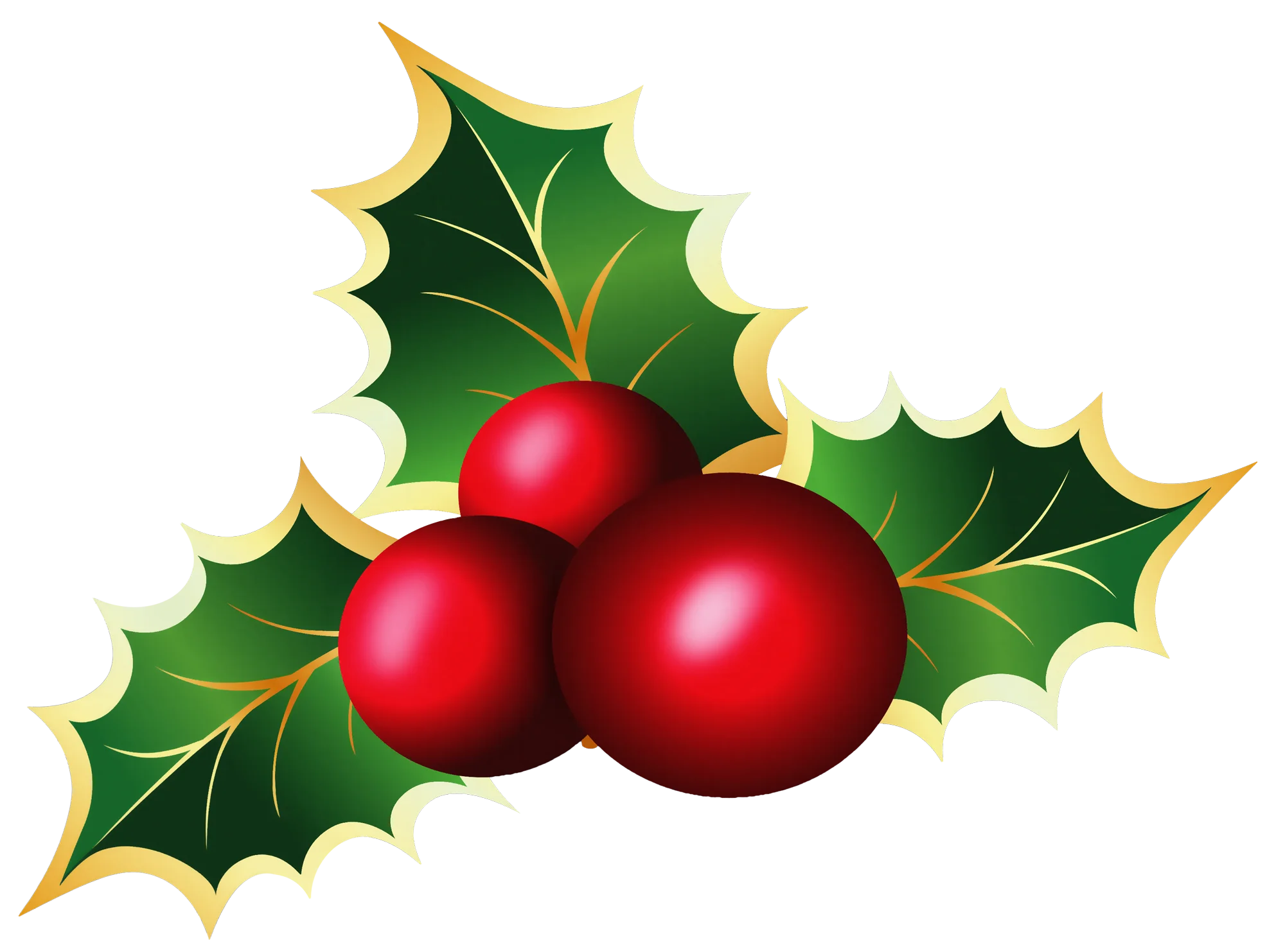 Classic Christmas Holly and Berries Festive Holiday Seasonal Clipart Illustration
