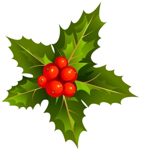 Classic Christmas Holly and Berries Festive Seasonal Clipart Design Element