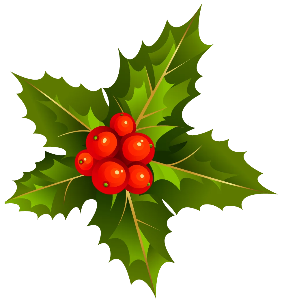 Classic Christmas Holly and Berries Festive Seasonal Clipart Design Element