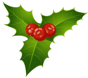 Classic Christmas Holly and Berries Festive Seasonal Clipart Illustration