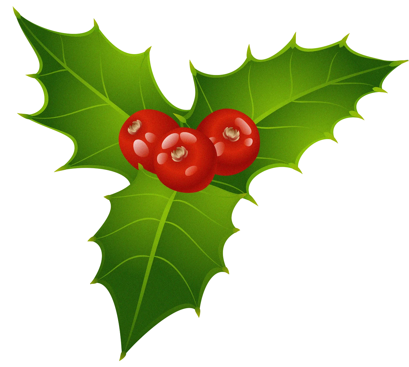 Classic Christmas Holly and Berries Festive Seasonal Clipart Illustration