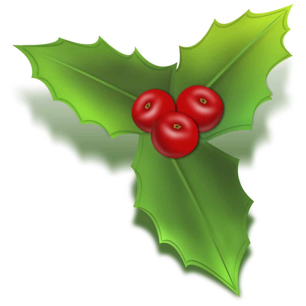 Classic Christmas Holly Leaves and Berries Festive Seasonal Clipart Design