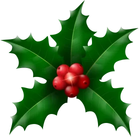 Classic Holly and Berries Christmas Festive Holiday Clipart Illustration