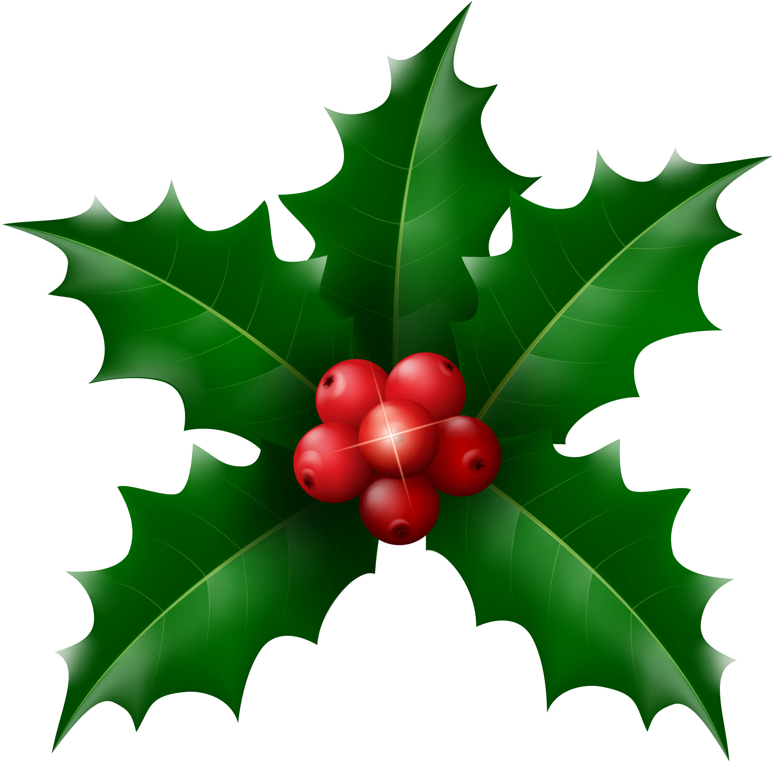 Classic Holly and Berries Christmas Festive Holiday Clipart Illustration